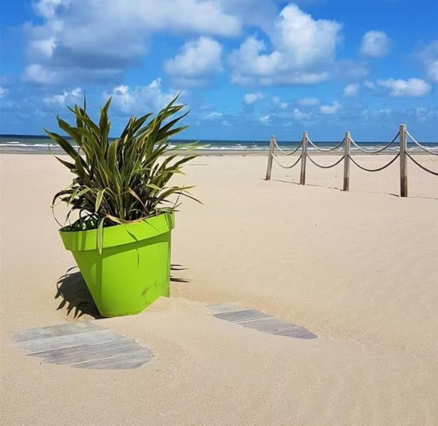 Lesparisnormands - Magnifique Vue Mer - Centre Et Plage Villers-sur-Mer Zewnętrze zdjęcie